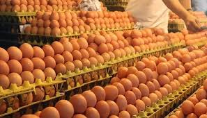 আজ থেকে তেজগাঁওসহ ১৩ স্পটে কম দামে বিক্রি হবে ডিম